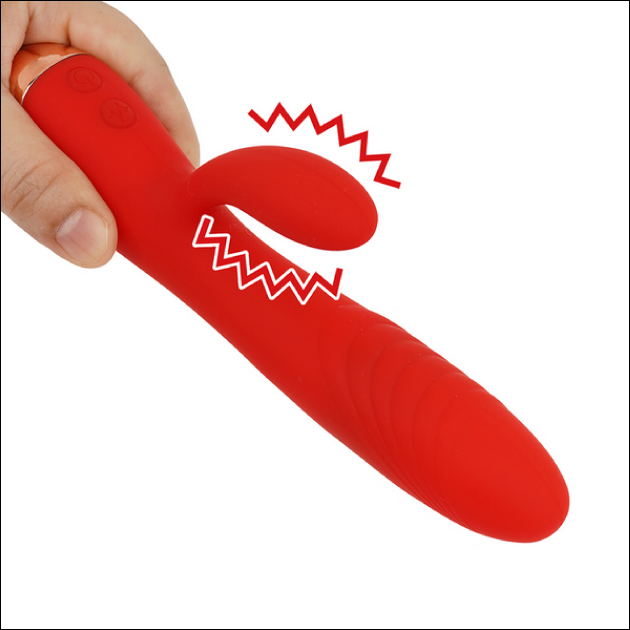 �o�C�u���[�^�[�̊�b�m���I�o�C�u�Ƃ͈�̂ǂ�ȃA�_���g�O�b�Y�H